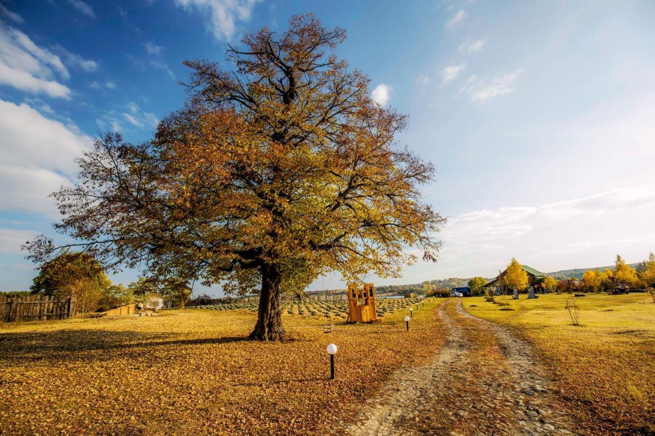 Country House Domik V Derevne Markivci Kültér fotó